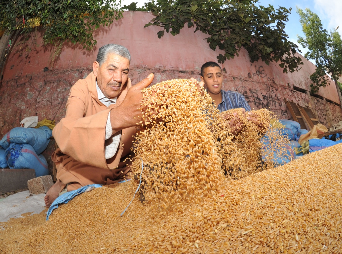 إخراج زكاة الفطر نقدًا: بين التقاليد ومقاصد الشريعة الإسلامية