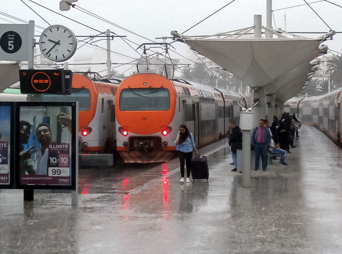 المكتب الوطني للسكك الحديدية: برمجة 240 قطارا يوميا بمناسبة عيد الفطر